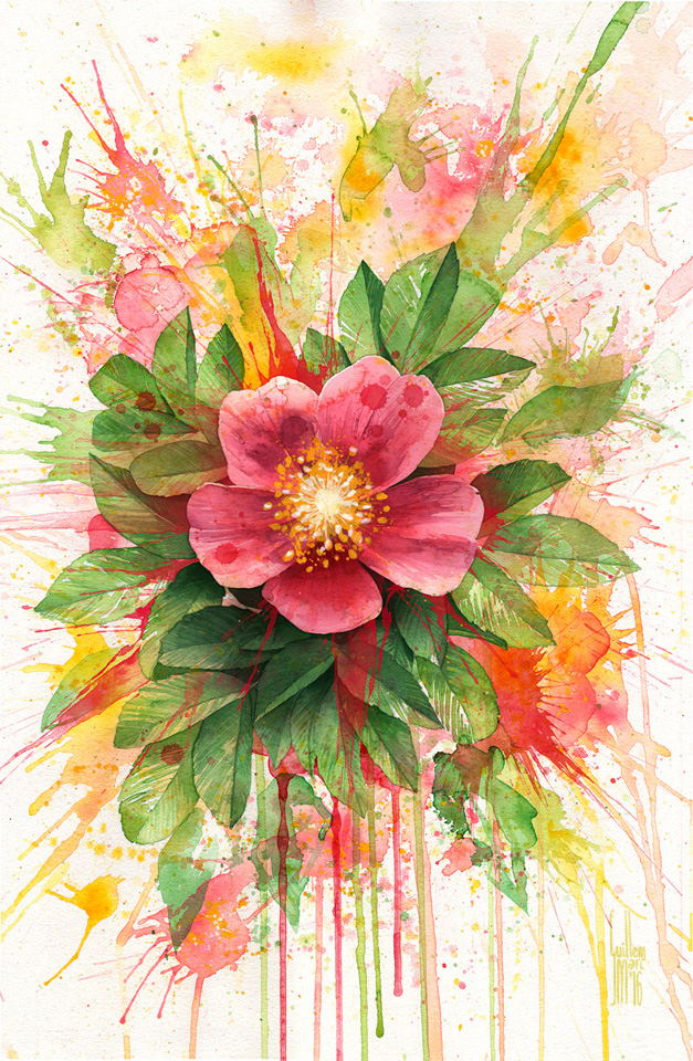 StalkingTheDeadCover